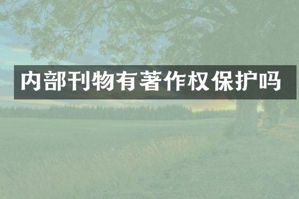 内部刊物有著作权保护吗