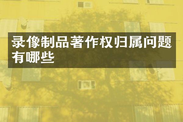 录像制品著作权归属问题有哪些