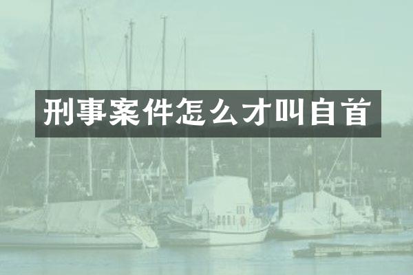 刑事案件怎么才叫自首