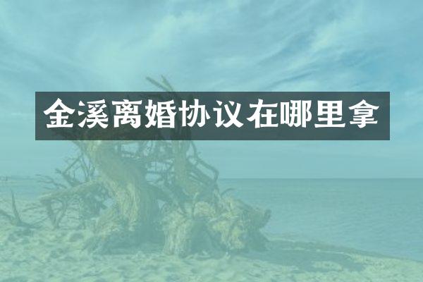 金溪离婚协议在哪里拿