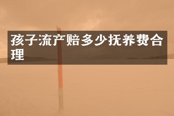 孩子流产赔多少抚养费合理