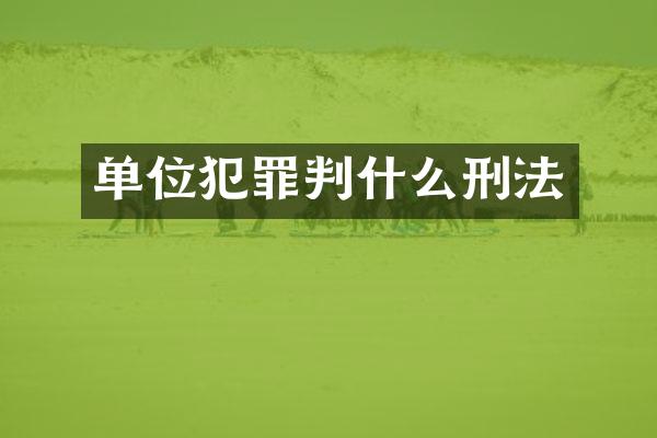 单位犯罪判什么刑法