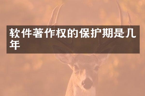 软件著作权的保护期是几年
