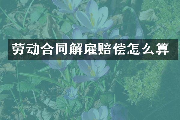 劳动合同解雇赔偿怎么算