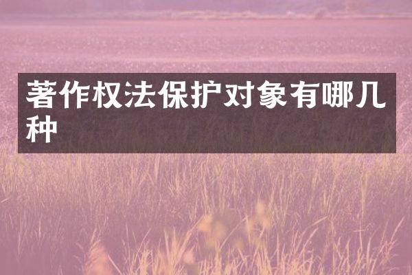著作权法保护对象有哪几种