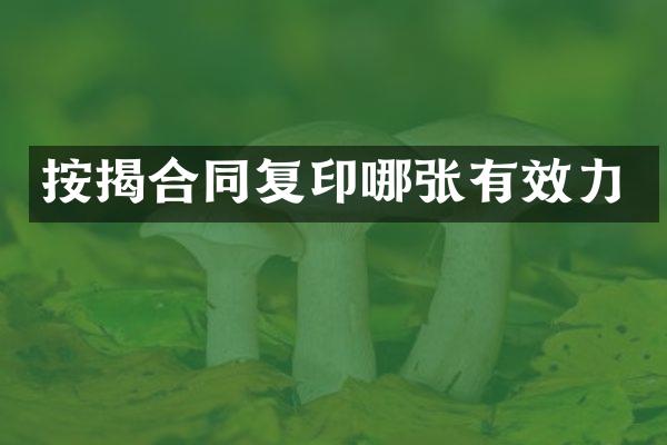 按揭合同复印哪张有效力