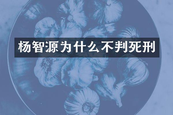杨智源为什么不判死刑