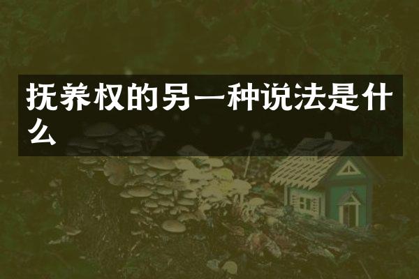 抚养权的另一种说法是什么
