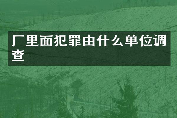 厂里面犯罪由什么单位调查