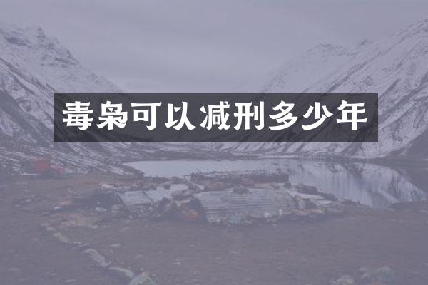毒枭可以减刑多少年