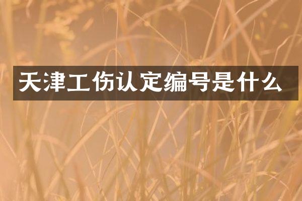 天津工伤认定编号是什么