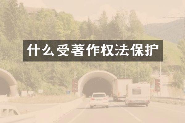 什么受著作权法保护