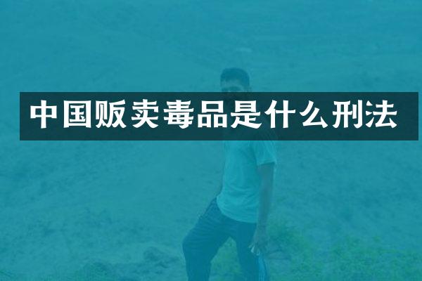 中国贩卖是什么刑法