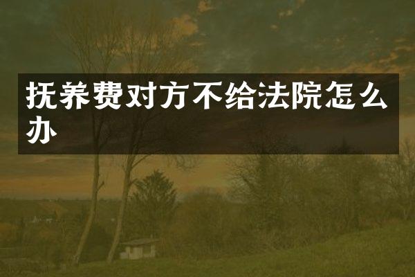 抚养费对方不给法院怎么办