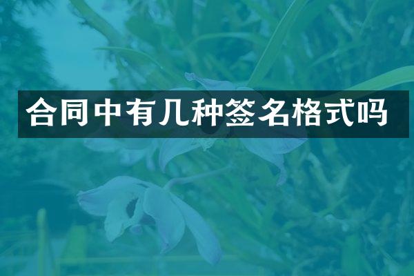 合同中有几种签名格式吗