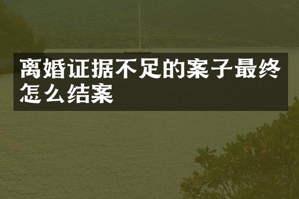 据不足的案子最终怎么结案