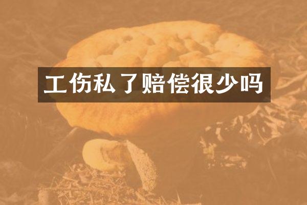 工伤私了赔偿很少吗