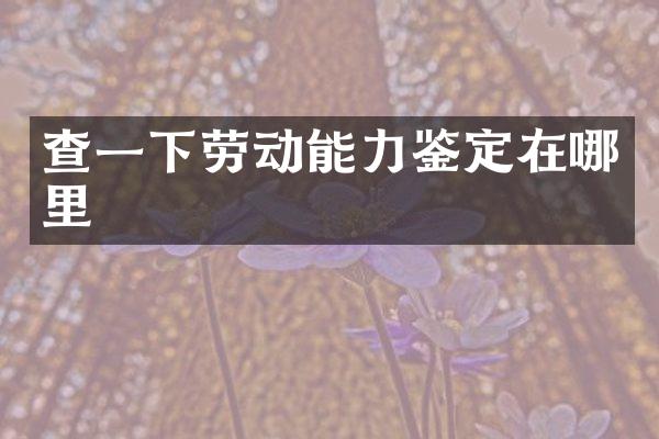 查一下劳动能力鉴定在哪里