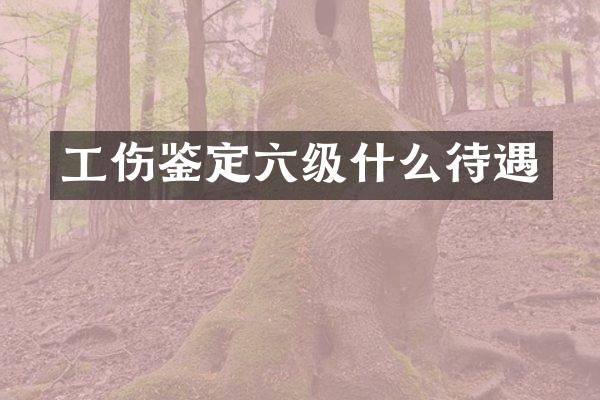 工伤鉴定六级什么待遇