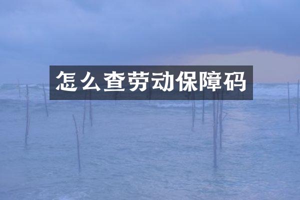 怎么查劳动保障码