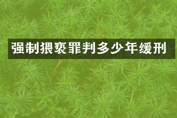 强制猥亵罪判多少年缓刑