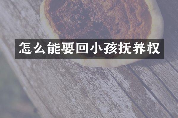 怎么能要回小孩抚养权