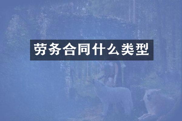 劳务合同什么类型