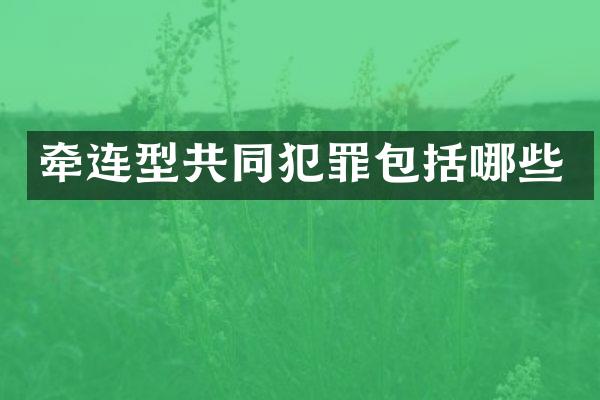 牵连型共同犯罪包括哪些