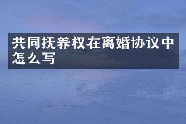 共同抚养权在离婚协议中怎么写