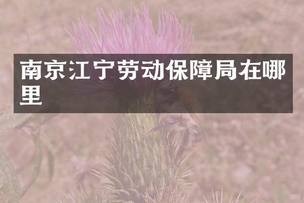 南京江宁劳动保障局在哪里