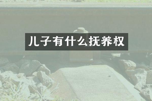 儿子有什么抚养权