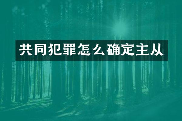 共同犯罪怎么确定主从