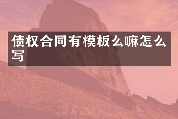 债权合同有模板么嘛怎么写