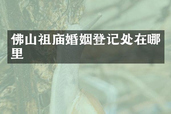 佛山祖庙婚姻登记处在哪里