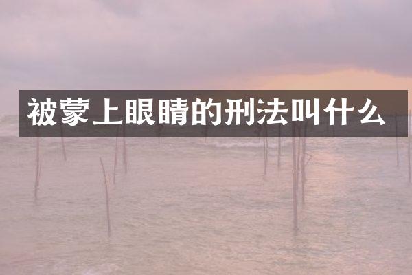 被蒙上眼睛的刑法叫什么
