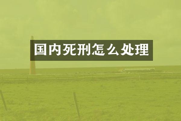 国内死刑怎么处理
