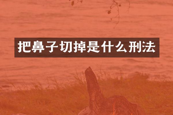 把鼻子切掉是什么刑法