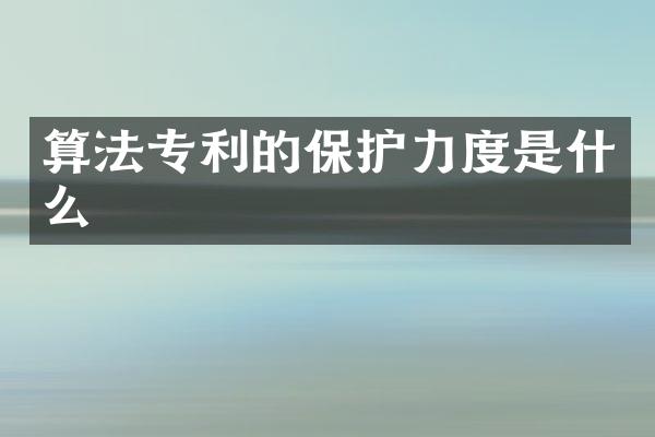 算法专利的保护力度是什么
