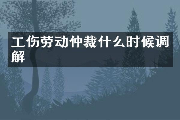 工伤劳动仲裁什么时候调解