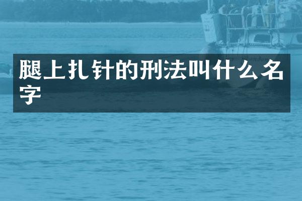 腿上扎针的刑法叫什么名字