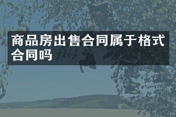 商品房出售合同属于格式合同吗