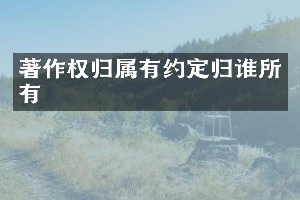 著作权归属有约定归谁所有