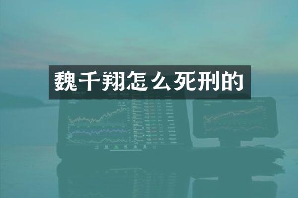 魏千翔怎么死刑的
