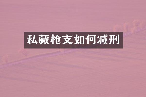 私藏如何减刑