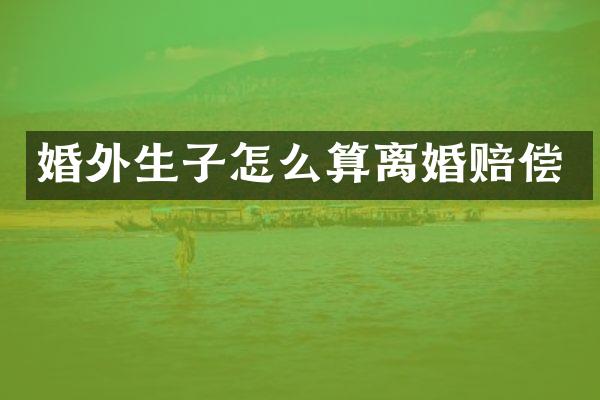 婚外生子怎么算离婚赔偿