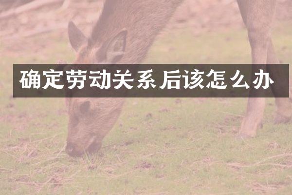 确定劳动关系后该怎么办