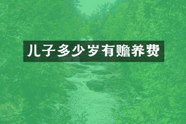 儿子有赡养费