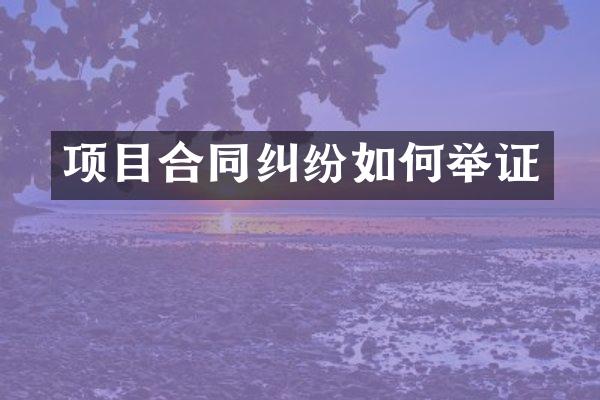 项目合同纠纷如何举证