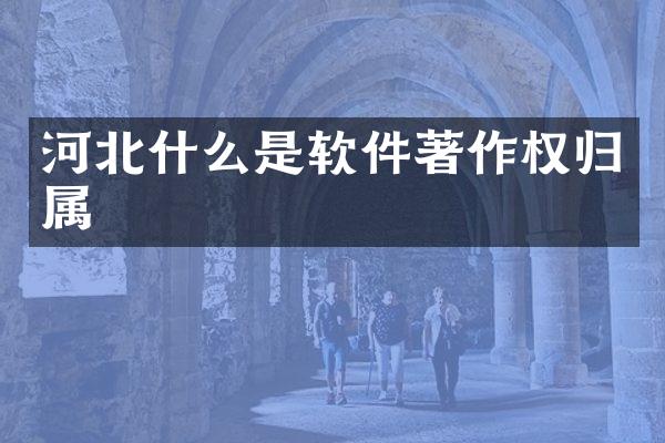 河北什么是软件著作权归属