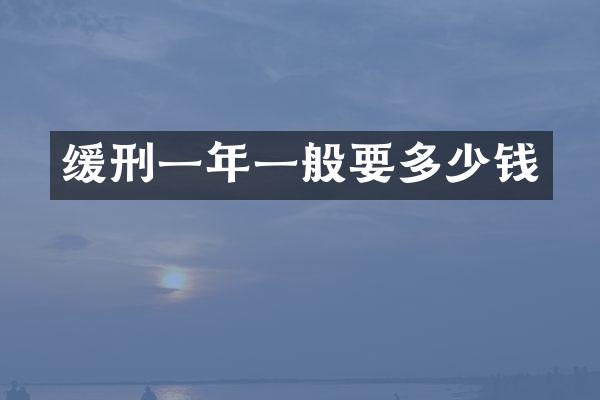 缓刑一年一般要多少钱